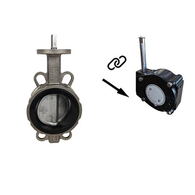 Turbiinin kumitiiviste ruostumatonta terästä läppäventtiili